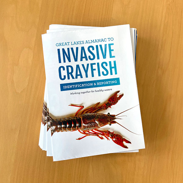 Stack of folded brochures designed to inform readers of invasive crayfish in the Great Lakes