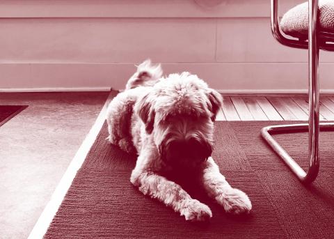 Social Media Is Not Free