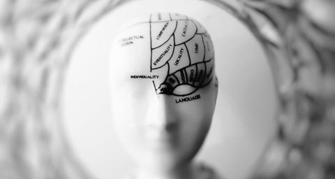 Marketing with our brains in mind