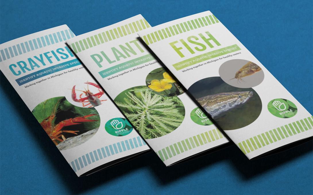 Set of brochures designed to inform readers of invasive fish, plants, and crayfish